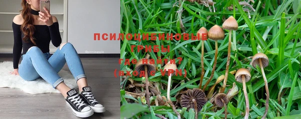 марихуана Нефтекумск