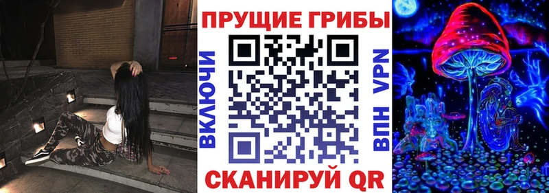 где купить наркоту  Тула  Псилоцибиновые грибы GOLDEN TEACHER 