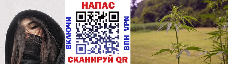 Бошки марихуана AK-47  как найти закладки  kraken как зайти  Тула 